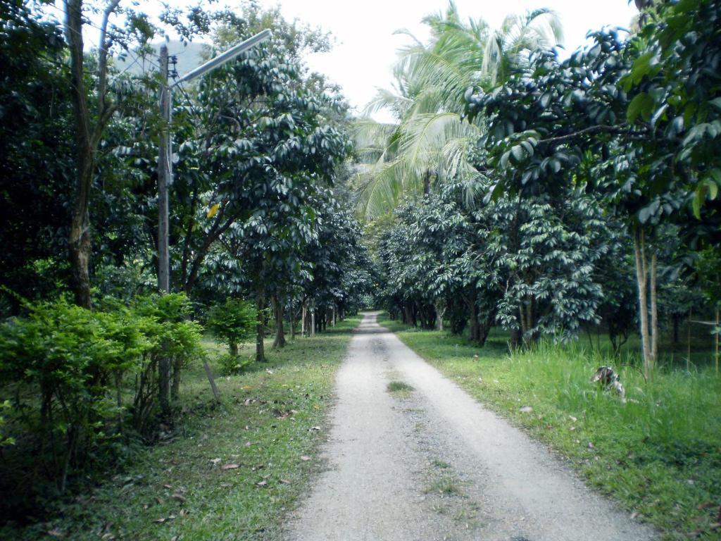 Khunnam Rimtarn Resort Mae Sai Exterior foto